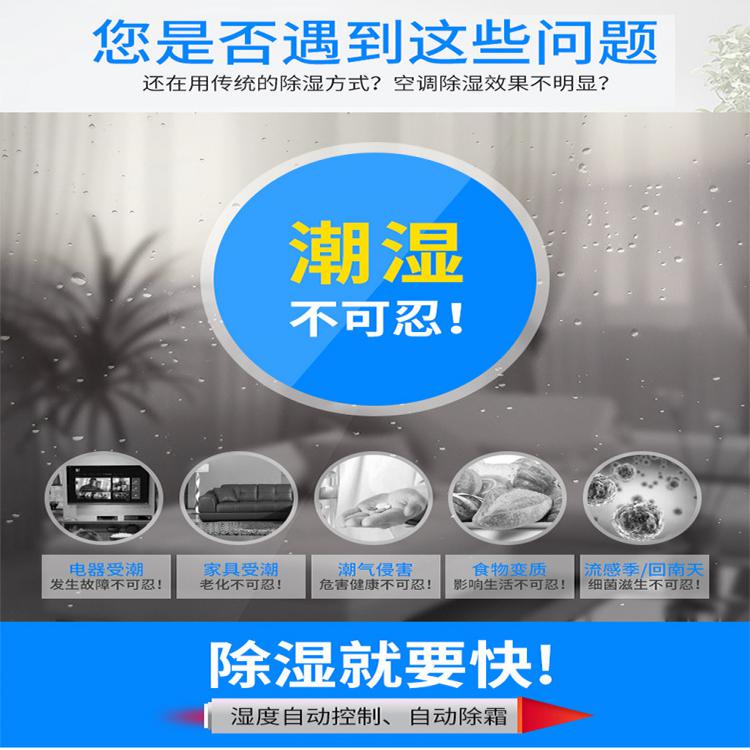 除濕機(jī)CFZ-20/S工廠店