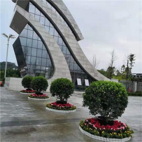 四川花卉綠植租賃公司電話