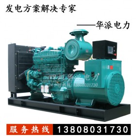 重慶康明斯發(fā)電機組  M11，NT855，QSN，K19，QSK38和K50系列  發(fā)電機