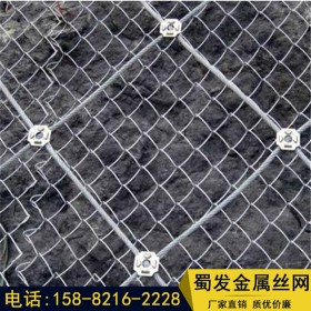 現(xiàn)貨邊坡防護(hù)網(wǎng) 主動柔性山體防護(hù)邊坡防護(hù)網(wǎng) 批發(fā)主動安全網(wǎng)