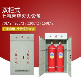 無管網(wǎng)七氟丙烷滅火裝置 雙柜式七氟丙烷滅火設(shè)備 自動(dòng)氣體滅火系統(tǒng)廠家 四川勝捷消防