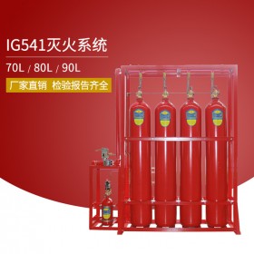 IG541氣體滅火設備 IG541混合氣體滅火系統(tǒng) 專業(yè)氣體滅火裝置廠家 四川勝捷消防
