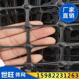養(yǎng)雞圍欄網(wǎng)土工格柵籬笆籠子網(wǎng)養(yǎng)殖圍欄雙向拉伸護(hù)坡防護(hù)網(wǎng)