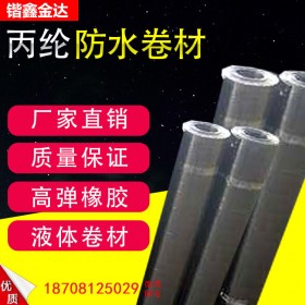廠(chǎng)家直銷(xiāo) 丙綸防水卷材 高分子防水卷材 防水防潮材料