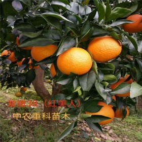 簡陽市中農(nóng)重科苗木專業(yè)合作社
