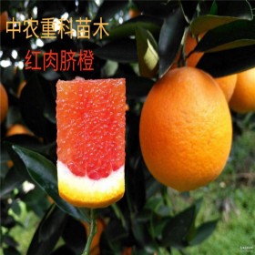 簡(jiǎn)陽(yáng)市中農(nóng)重科苗木專(zhuān)業(yè)合作社