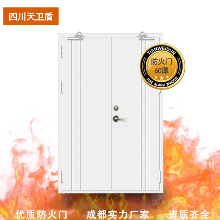 天衛(wèi)盾 鋼質(zhì)防火門(mén)機(jī)房定制門(mén)成都廠家GFM鋼制丙級(jí)乙級(jí)甲級(jí)防火門(mén)