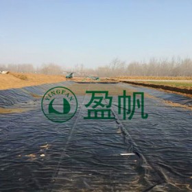 鹽場(chǎng)結(jié)晶池土工膜 鹵水池沾蓋土工膜 黑膜沼氣池土工膜批發(fā)
