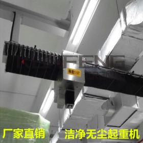 四川凈化工程無塵天車廠家,防靜電無塵天車,無塵醫(yī)療醫(yī)用起重機(jī)設(shè)備