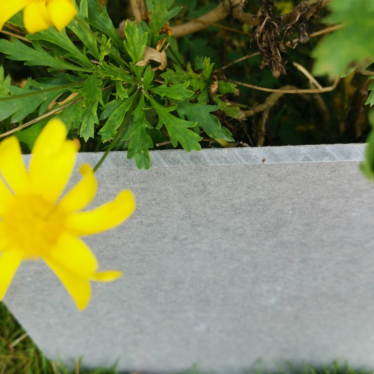 供應(yīng)纖維水泥板、硅酸鈣板 、鋼結(jié)構(gòu)樓板、裝配式幕墻掛板
