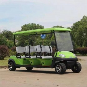 小型輕便電動(dòng)觀光車 廠家直銷 可定制 阿童木