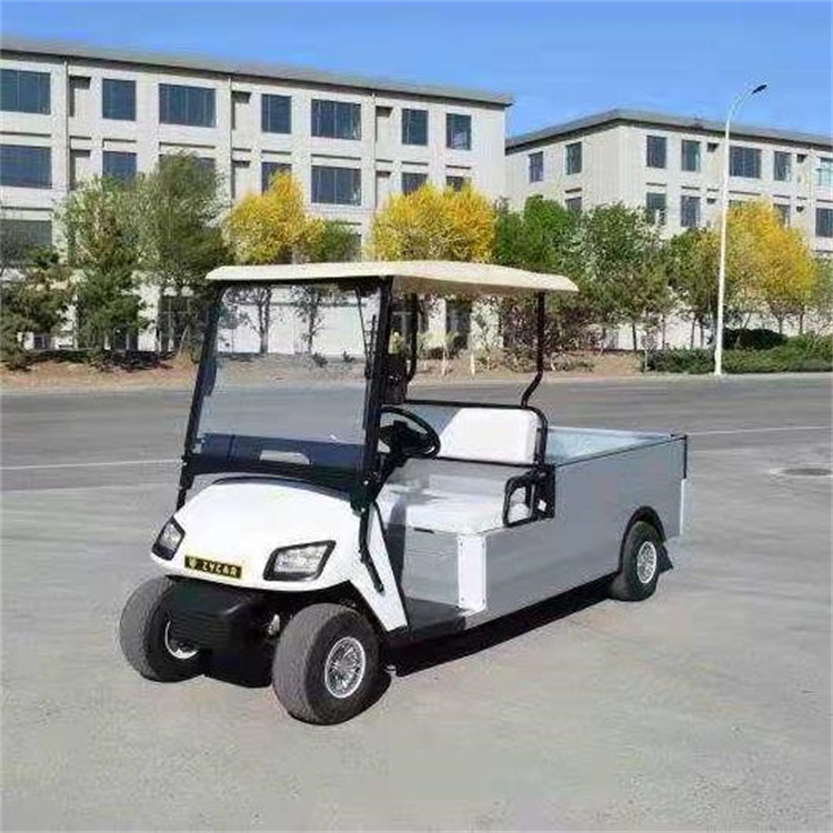 2座觀光電動(dòng)巡邏車 白色 可定制