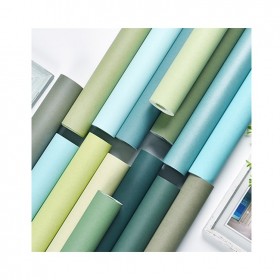 北歐風(fēng)莫蘭迪素色純色無紡布?jí)埇F(xiàn)代簡約藍(lán)色綠色蠶絲紋長纖壁紙