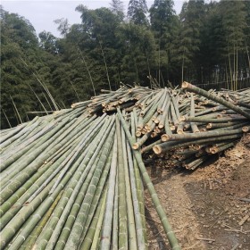 竹建筑有哪些突出優(yōu)點(diǎn)？