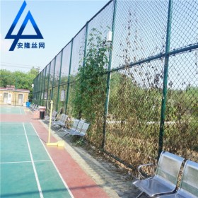 球場圍欄網(wǎng) 體育場鐵絲勾花網(wǎng) 籃球足球網(wǎng) 球防護欄網(wǎng) 操場隔離網(wǎng) 四川廠家可定制