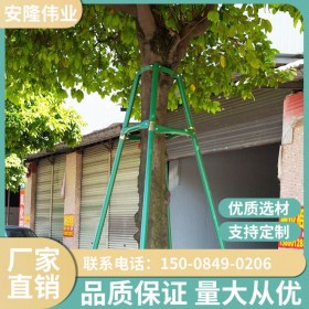 四川廠家樹木支撐架鋼管固定器綠色大樹支撐桿喬木防風抱箍園林金屬樹支撐