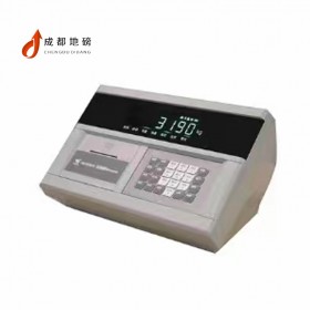 數(shù)字式地磅可定制 高精準度 耐磨耐用 規(guī)格齊全
