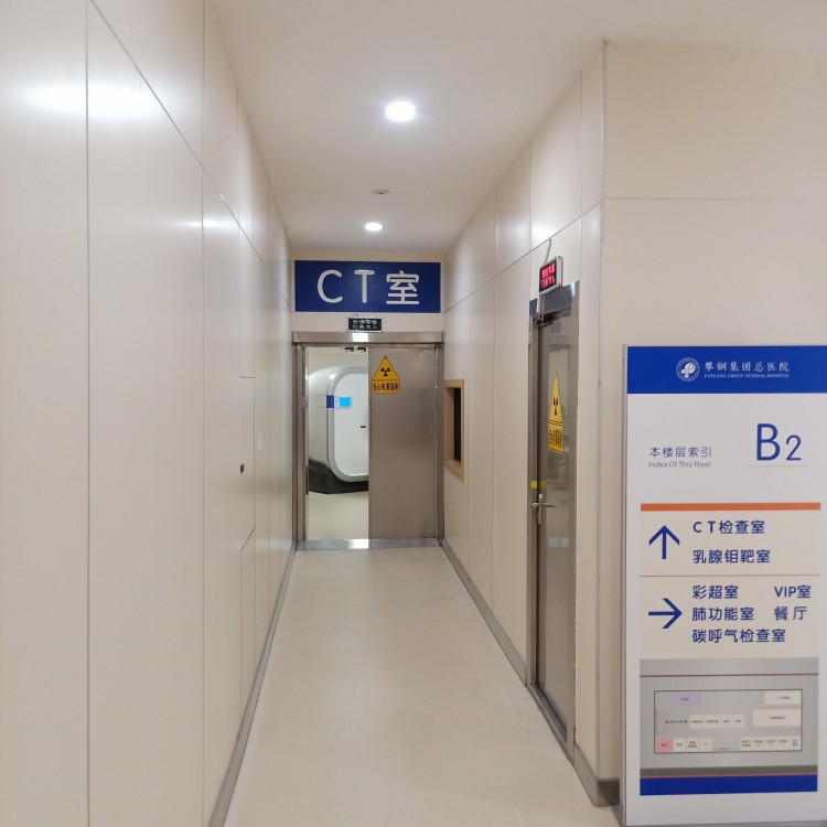 防輻射鉛門電動(dòng)防護(hù)鉛門CT防護(hù)鉛門醫(yī)院放射科鉛門 可定制