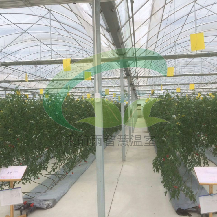 無土栽培苗床 蔬菜瓜果種植大棚 花卉種植潮汐移動(dòng)苗床