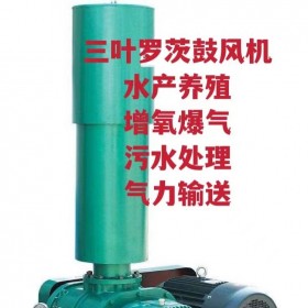 羅茨風機 羅負壓風機 污水處理 魚塘養(yǎng)殖增氧機增氧泵 高壓鼓風機