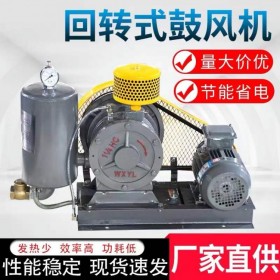回轉(zhuǎn)式鼓風機  回轉(zhuǎn)風機  污水低噪音回轉(zhuǎn)式風機養(yǎng)殖增氧曝氣氣力輸送