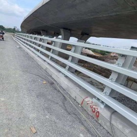 四川道路護欄工廠 城市公路防撞護欄市政不銹鋼復(fù)合管護欄