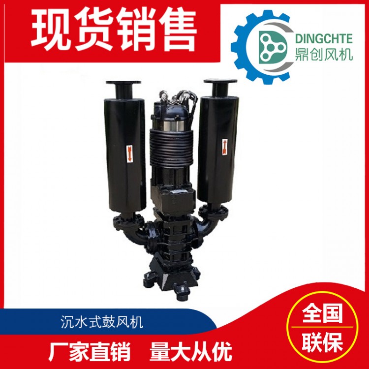 DSW-5022沉水式鼓風機   300米河道治理曝氣裝置沉水曝氣機 噪音低 維護少