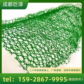 綠化護(hù)坡用三維植被網(wǎng)2層3層 植草護(hù)坡生態(tài)修復(fù) 河道邊坡治理用高分子護(hù)坡