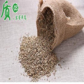 馬蹄金價(jià)格