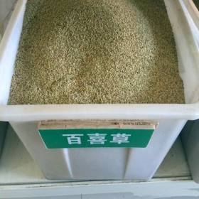 馬蹄金價格