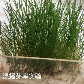 馬蹄金價(jià)格