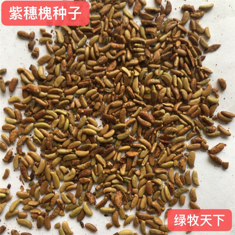 馬蹄金價(jià)格