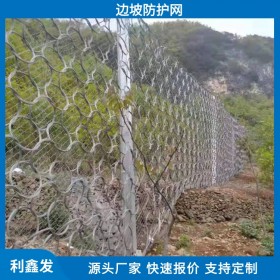 利鑫發(fā)-供應邊坡山體防護網(wǎng)-安全防護網(wǎng)-深耕邊坡工程防護