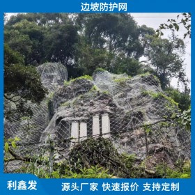 利鑫發(fā)-四川被動邊坡防護網(wǎng)-護網(wǎng)高邊坡防護-鋼絲網(wǎng)護坡