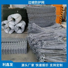 利鑫發(fā)-批發(fā)邊坡防護(hù)網(wǎng)-邊坡被動(dòng)防護(hù)網(wǎng)-成都邊坡防護(hù)網(wǎng)廠家