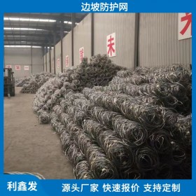 利鑫發(fā)-道路邊坡防護-鋼絲網(wǎng)護坡-掛網(wǎng)護坡-物美價廉支持定制