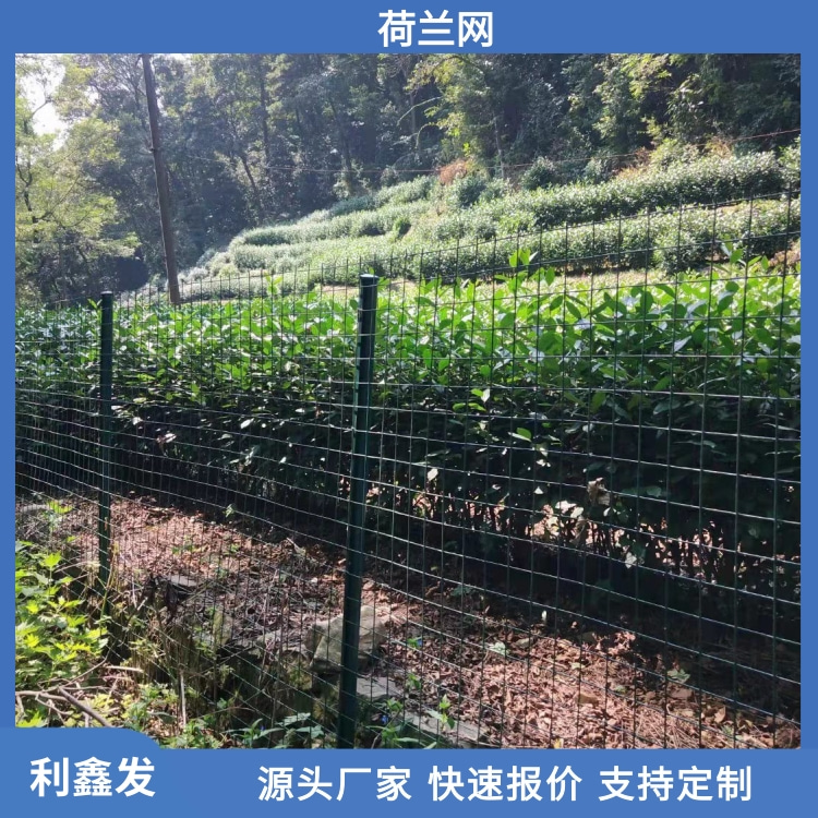 藍(lán)色清新場景美妝保濕護(hù)膚面膜產(chǎn)品展示寶貝主圖