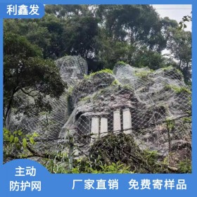 利鑫發(fā)-四川主動邊坡防護網(wǎng)廠家-批發(fā)-主動被動邊坡防護網(wǎng)-可免費寄送樣品