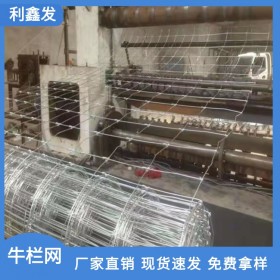 利鑫發(fā)-纏繞型牛欄網(wǎng)-草原網(wǎng)-隔離防護網(wǎng)-養(yǎng)殖圍欄網(wǎng)