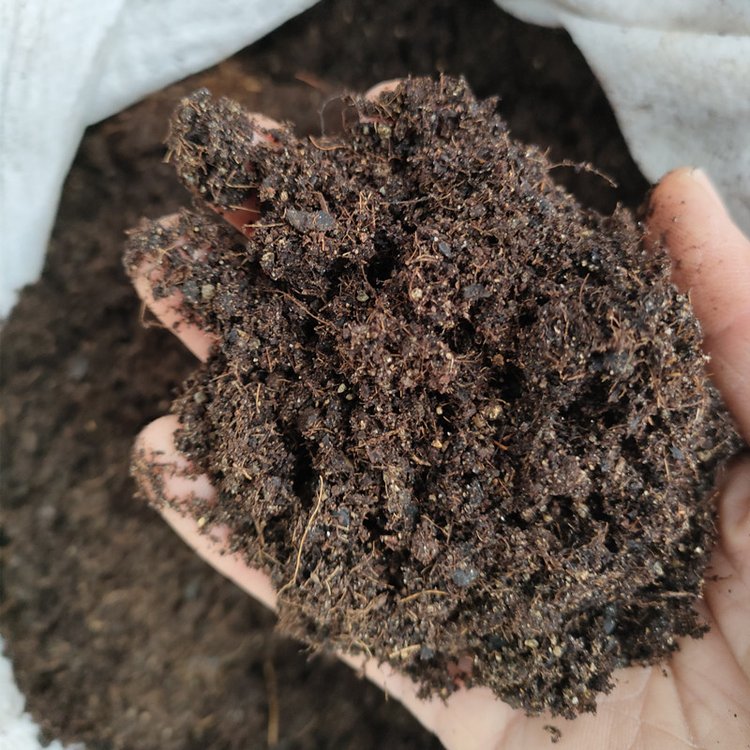 園藝綠植 草坪種植花卉養(yǎng)殖用腐質(zhì)草炭營(yíng)養(yǎng)土 綠溢源