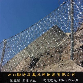 RXI-型環(huán)形被動(dòng)防護(hù)網(wǎng) 防滾石山體滑坡鋼絲網(wǎng) 鵬澤定制