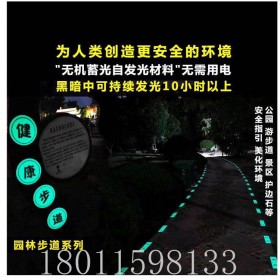 自發(fā)光磚 燈廣場(chǎng)發(fā)光磚 廠家性價(jià)比高