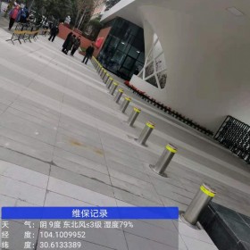 內(nèi)江防沖撞樁 擋車升降柱 隔離柱 電動升降柱 直徑219mm