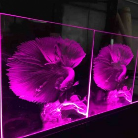 8mm鋼化裝飾隔斷激光內雕玻璃發(fā)光玻璃背景墻