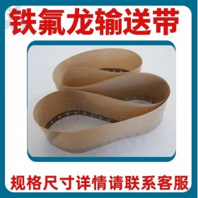 四川省成都市鐵氟龍高溫膠布輸送帶網(wǎng)格布工業(yè)皮帶