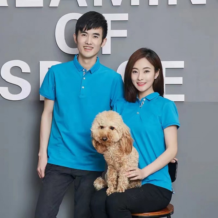 源頭廠家POLO衫6色可選夏季公司團建可刺繡LOGO