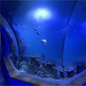 亞克力科技定制亞克力魚缸 四川亞克力工廠定制觀賞魚缸