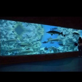 亞克力定制15cm水族館亞克力魚缸
