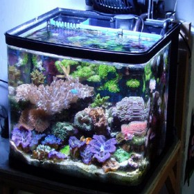 亞克力科技定私人家庭版觀賞魚缸 10mm亞克力小魚缸定制