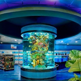 水族館工程魚缸安裝施工 喜兔一站式設計生產(chǎn)安裝亞克力魚缸